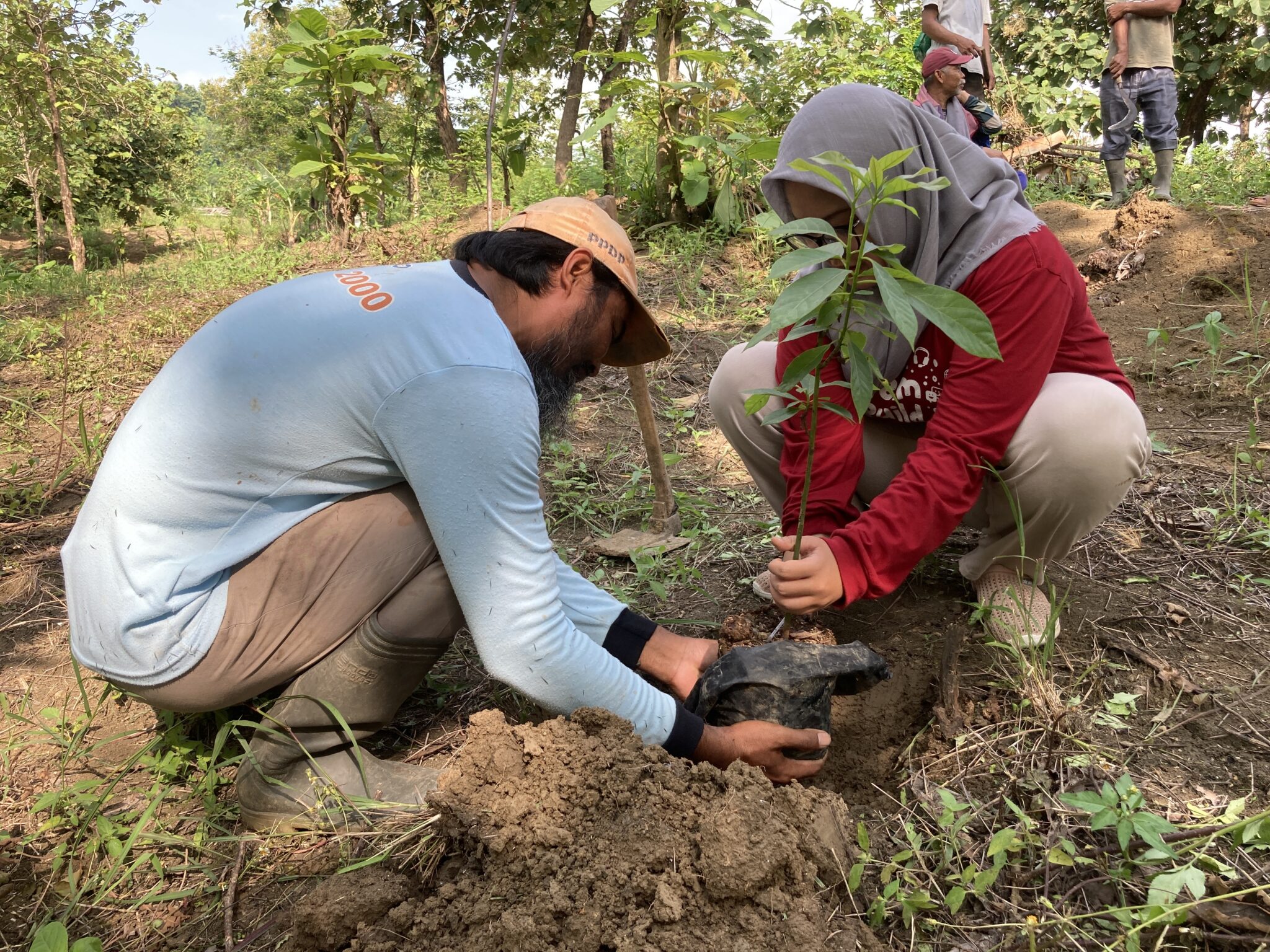 Ahmad Rozin (kiri) mitra petani LindungiHutan di Jabungan, Semarang.