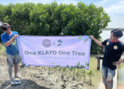 KLAYD Tanam 815 Mangrove Dukung Pelestarian Lingkungan di Kawasan Hutan Mangrove Ambulu Kabupaten Cirebon