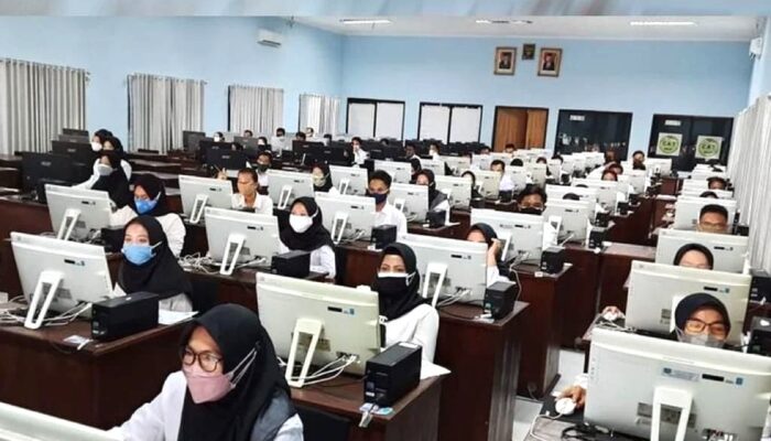 Siap-siap! Pemprov Sultra Buka Penerimaan CPNS-PPPK 2024 Besar-besaran, Ini Rinciannya