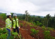 Kegiatan Penambangan di Pulau Kecil Masih Tetap Diperbolehkan