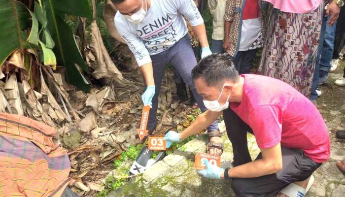 Tragis! Hari Lebaran, Pria di Wakatobi Tewas Ditikam Saat Nonton Acara Adat Posepaa