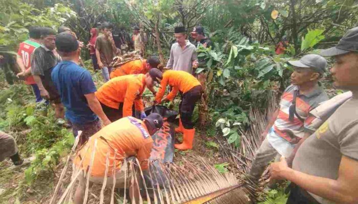 Innalillahi, Nenek 60 Tahun di Koltim yang Hilang di Kebun Coklat Ditemukan Meninggal