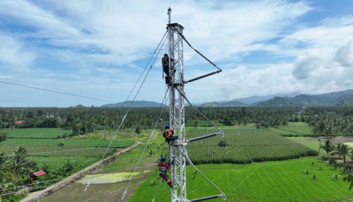 PLN Bangun Tower Emergency di Jalur Wolo-Kolaka, Antisipasi Gangguan Listrik