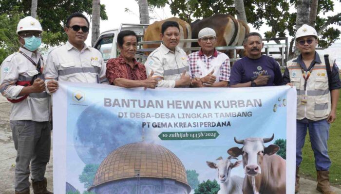 Idhul Adha, PT GKP Bagikan Belasan Ekor Sapi Untuk Masyarakat di Wawonii