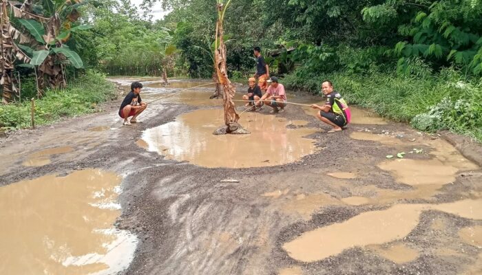 Tuntut Perbaikan Jalan, Warga di Konsel Gelar Aksi Tanam Pisang