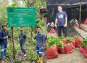 Komitmen PT GKP Pengelolaan Lingkungan Rehabilitasi Dua DAS di Luar Lahan Konsesi