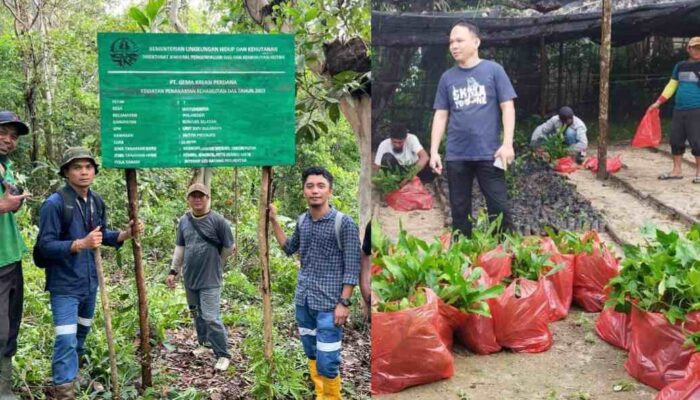 Komitmen PT GKP Pengelolaan Lingkungan Rehabilitasi Dua DAS di Luar Lahan Konsesi