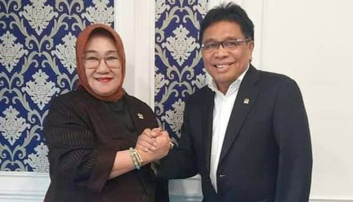 Batal Maju Pilgub, Ridwan Bae Harap Tina Nur Alam Tetap Didampingi Kader Golkar