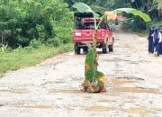 Kesal Tidak Kunjung Diperbaiki, Warga Akan Tutup Akses Jalan Andoolo-Tinanggea Konsel
