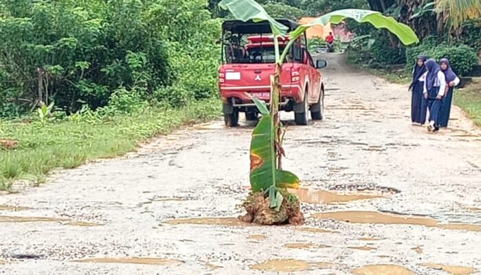 Kesal Tidak Kunjung Diperbaiki, Warga Akan Tutup Akses Jalan Andoolo-Tinanggea Konsel