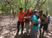 Seorang Nenek yang Hilang di Hutan Konut, Berhasil Ditemukan