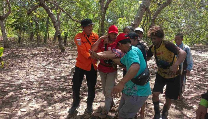 Seorang Nenek yang Hilang di Hutan Konut, Berhasil Ditemukan