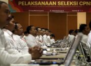 Inilah 6 Persyaratan Administrasi CPNS 2024, Jangan Sampai Ada yang Terlewat!