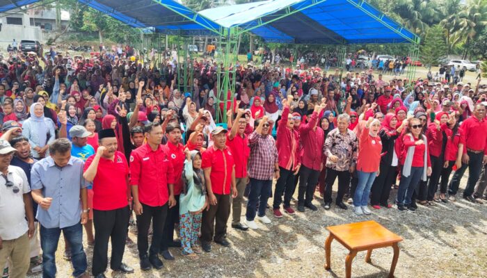 Balon Gubernur Sultra Lukman Abunawas Kukuhkan Tim Pemenangan Sultra LA-IDA di Wakatobi