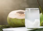 Catat! Ini Waktu yang Tepat Minum Air Kelapa Agar Dapat Rasakan Khasiatnya