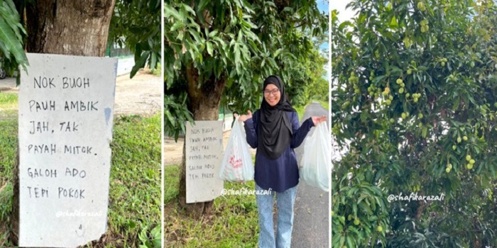 Viral! Kesal Karena Buah Mangganya Kerap Diincar Orang, Pemilik Tulis Catatan Kocak!