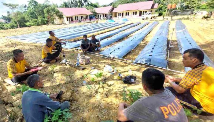 Dukung Asta Cita Presiden RI, Polresta Kendari Bentuk Kelompok Tani di Wilayah Polsek Abeli