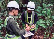 Masuk Nominasi Proper Hijau, PT GKP: Kerja Sama Kunci Lestarikan Lingkungan Wawonii