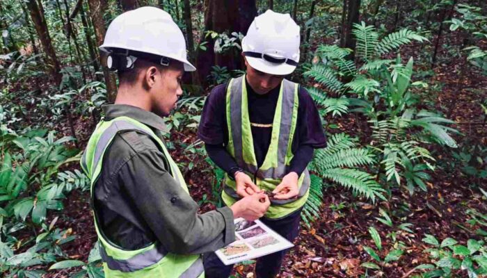 Masuk Nominasi Proper Hijau, PT GKP: Kerja Sama Kunci Lestarikan Lingkungan Wawonii