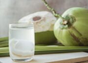 Banyak yang Tidak Tahu, Inilah Waktu Terbaik Minum Air Kelapa