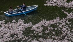 Jumlah Anak di Jepang