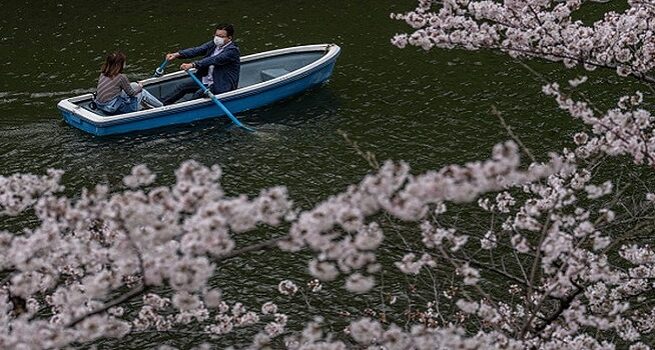 Jumlah Anak di Jepang