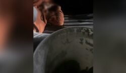Pria Kepergok Mencuri