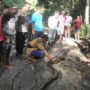 Ular Piton