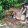 Istri penggal kepala suami