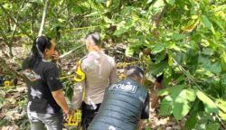 Pembunuhan Anak Koltim