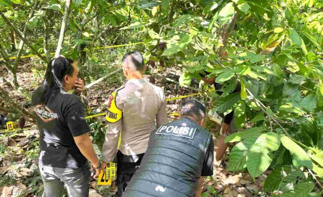 Pembunuhan Anak Koltim