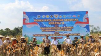 Panen Jagung Polda Sultra