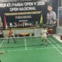 Bulu Tangkis