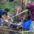 Petani Tewas